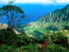 hawaii1